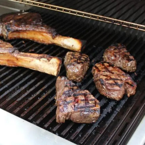 https://mhpgrills.com/wp-content/uploads/2022/05/media-ProFire-searmagic-cooking-grid-500x500.jpg.webp