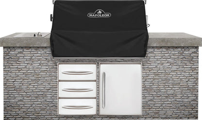 https://www.napoleon.com/sites/default/files/styles/gallery_item/public/products/61666-Web-Gallery-02-Built-In-61666-BIPRO665-island-Full-Size.png.jpg?itok=V53O2Ds5