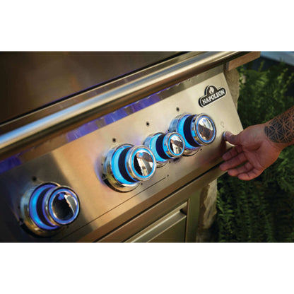 Napoleon Built-In 700 Series 32" Liquid Propane Grill with Infrared Rear Burner - Stainless Steel
