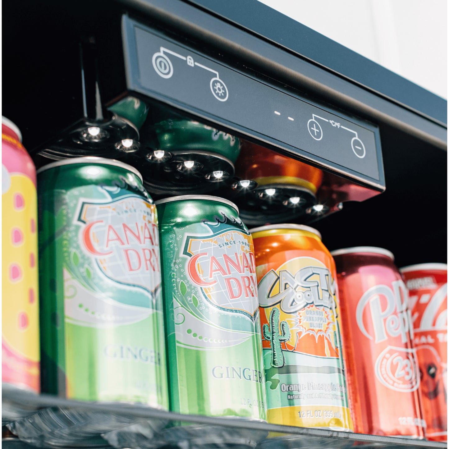 24" Outdoor Rated Refrigerator