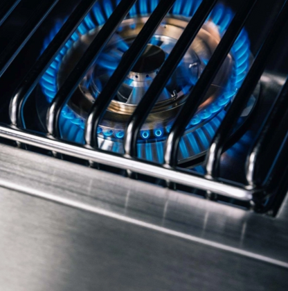 TrueFlame Double Side Burner - Liquid Propane